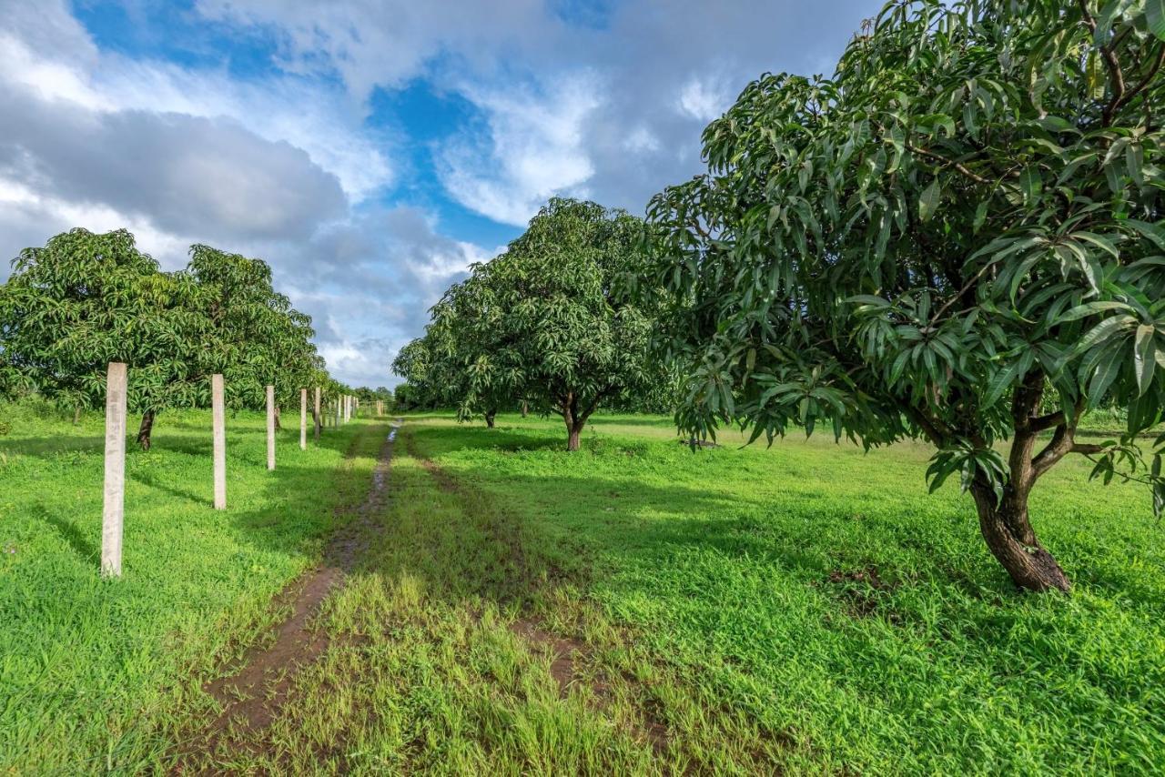 Saffronstays Sattva - Pet And Eco-Friendly Villa In Mumbai'S Outskirts Pen Екстер'єр фото